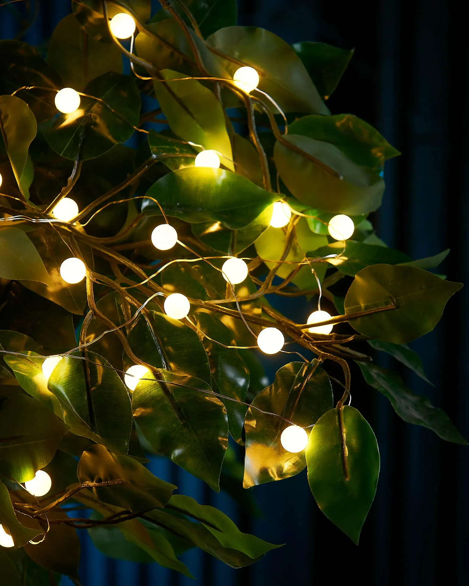 80 Pastel Warm White Micro LED Berry Lights, 2.4 M
