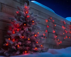 Berry Multi-Function 100 LED Connectable Light String, Bright Red