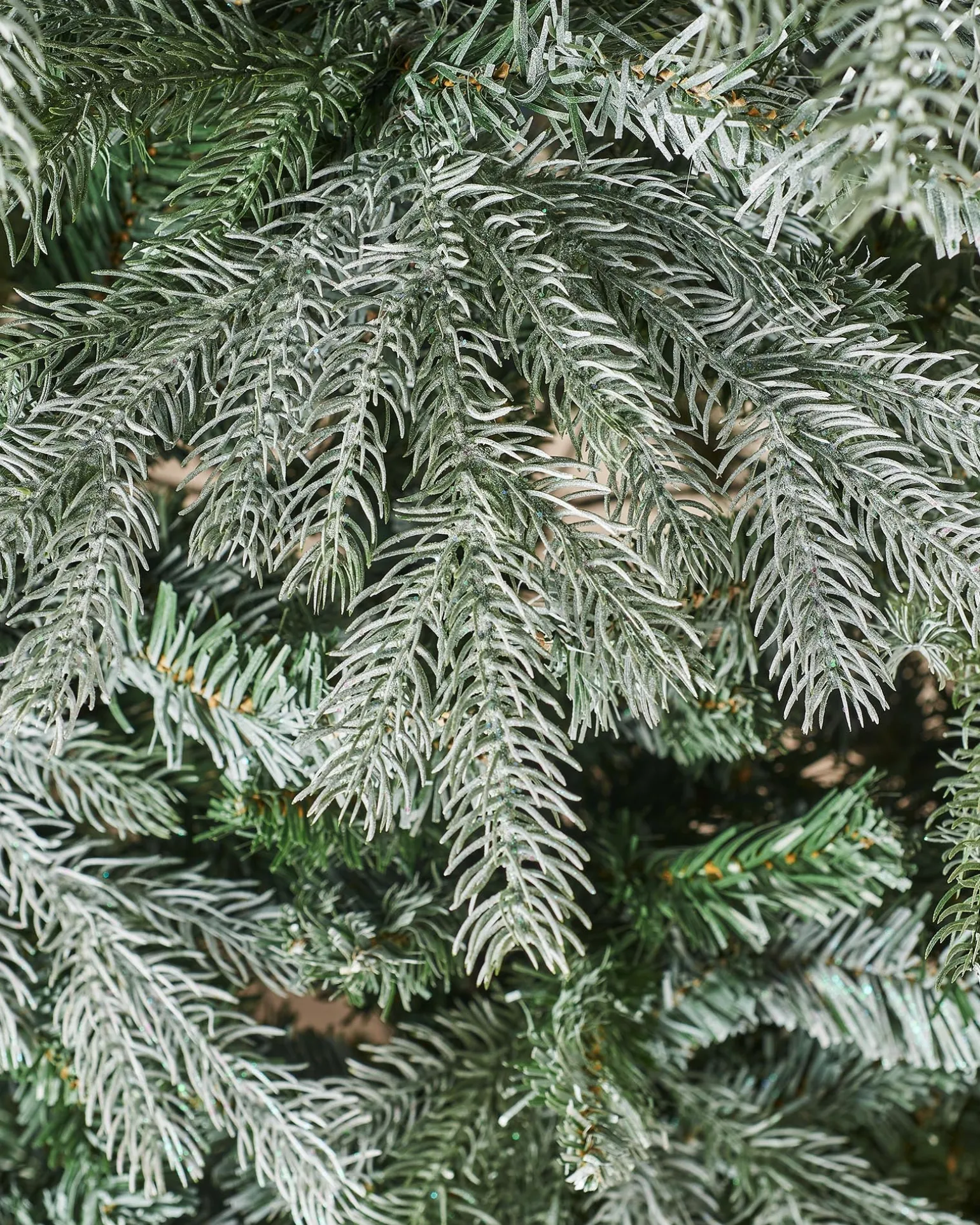 Frosted Siberian Mixed Pine Christmas Tree, 6 Ft