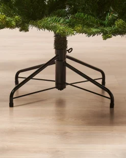 Himalayan Fir Christmas Tree, 5 Ft