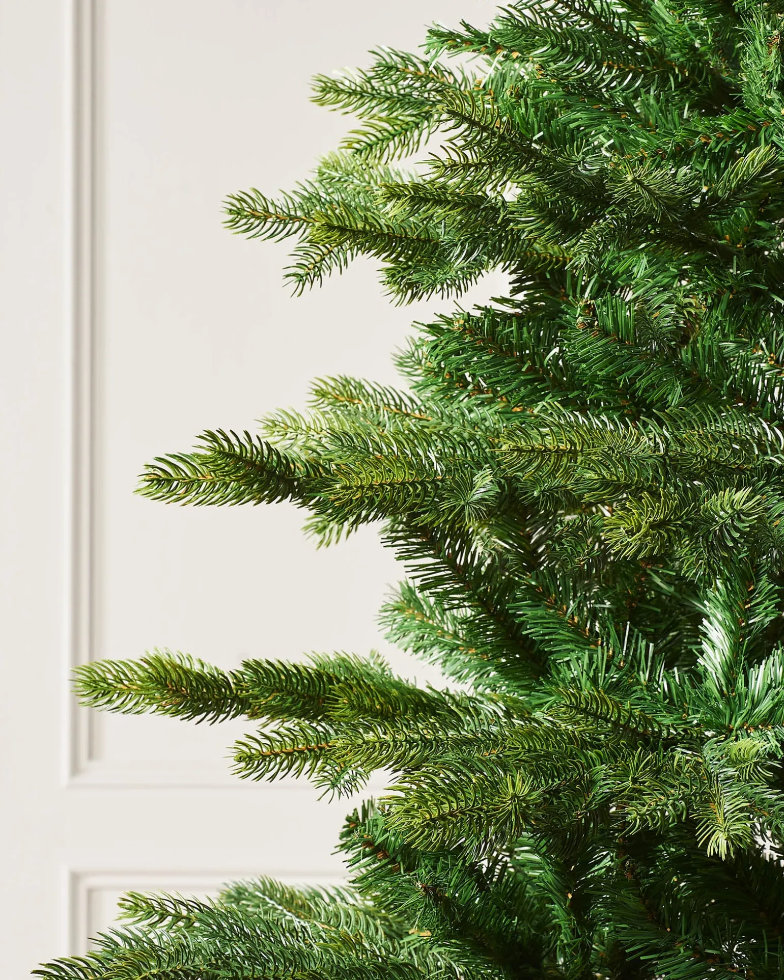 Himalayan Fir Christmas Tree, 5 Ft