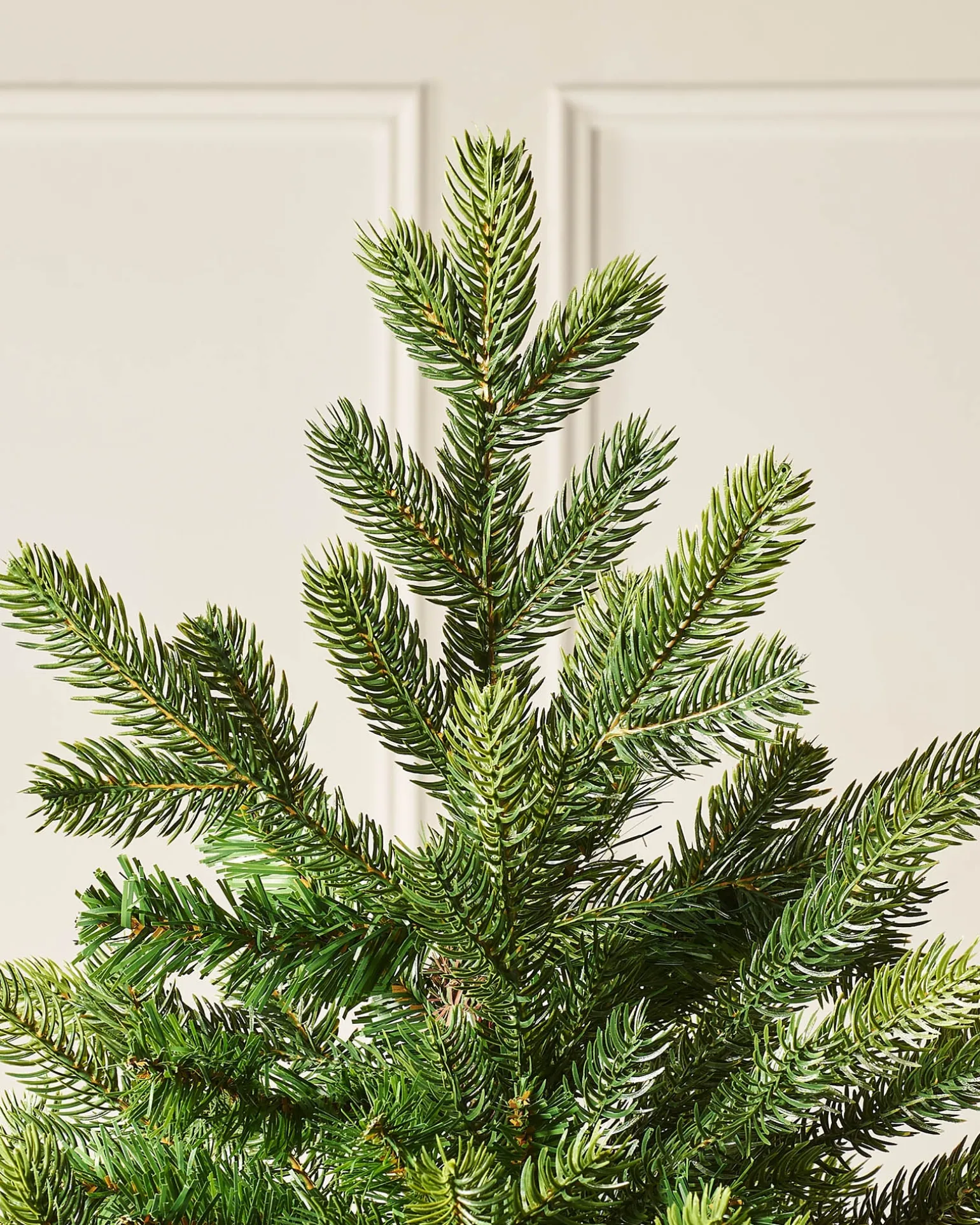Himalayan Fir Christmas Tree, 6 Ft