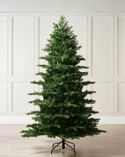 Himalayan Fir Christmas Tree, 8 Ft