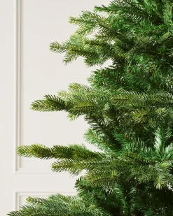 Himalayan Fir Christmas Tree, 8 Ft