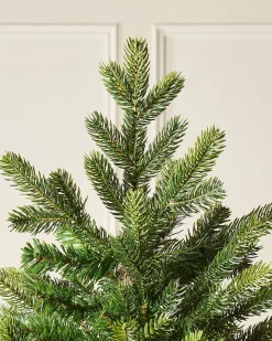 Himalayan Fir Christmas Tree, 8 Ft