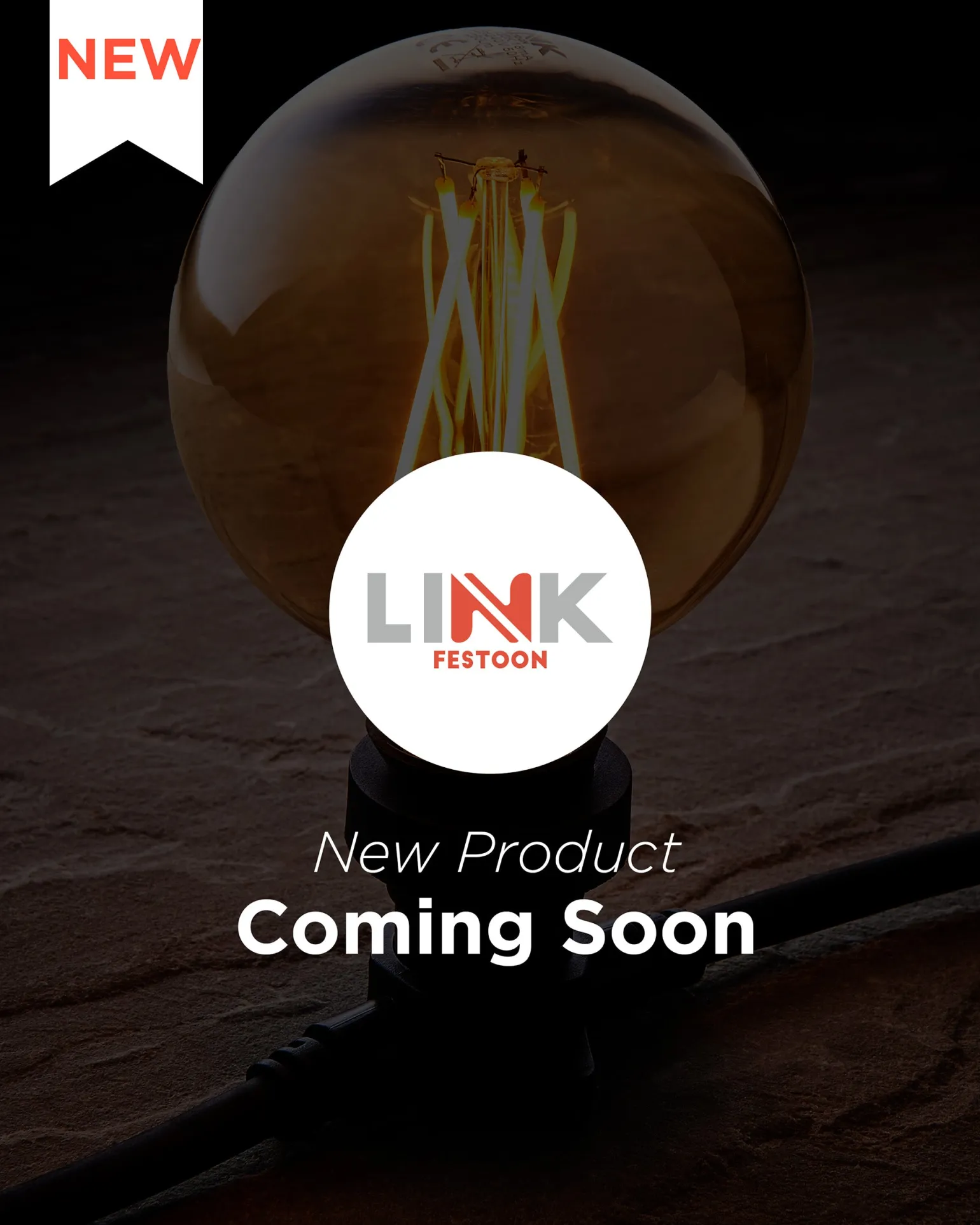 LINK FESTOON Dimmer / Timer Controller, Connectable