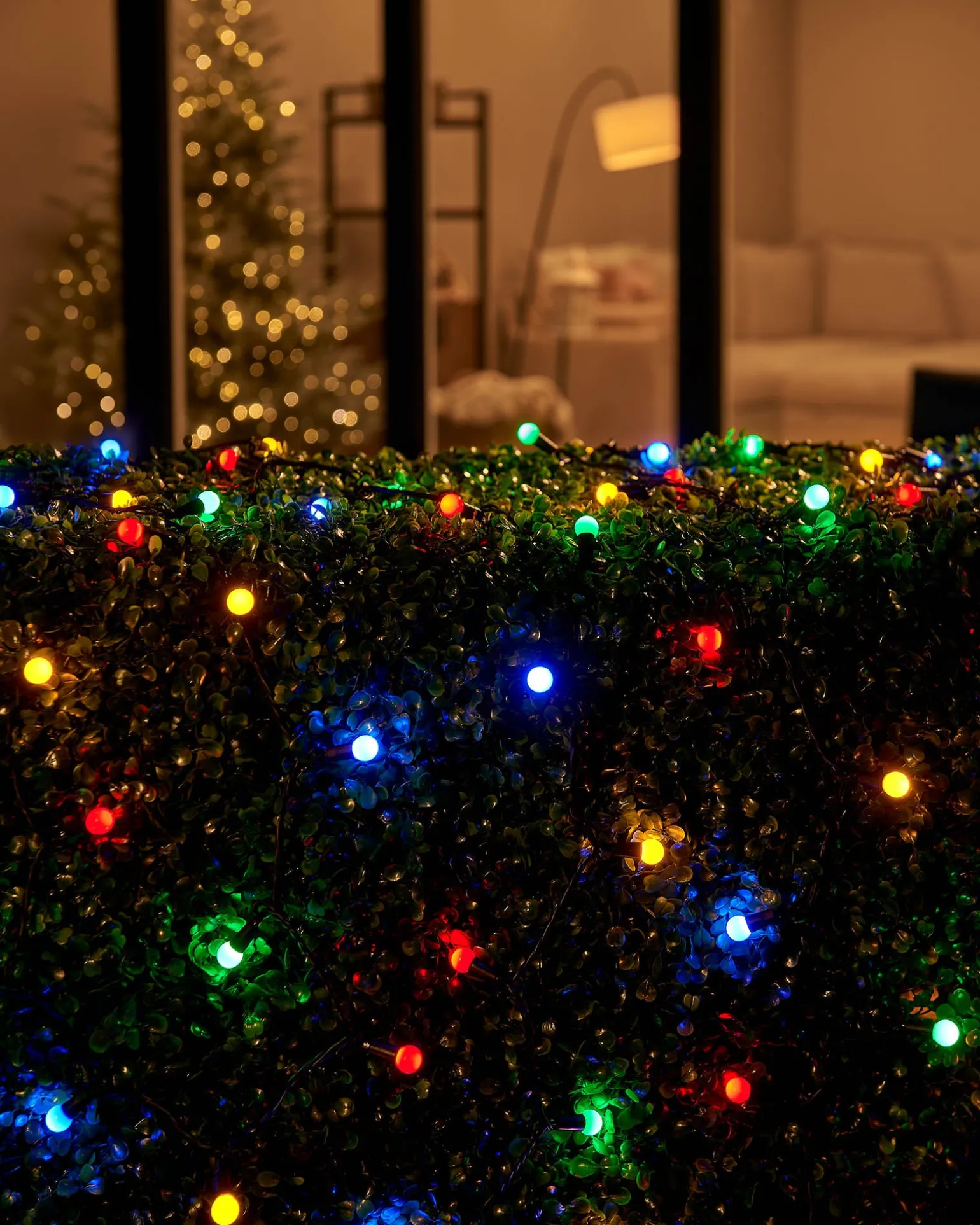 LINK UP LED Berry Lights, Black Cable, Multi Colour