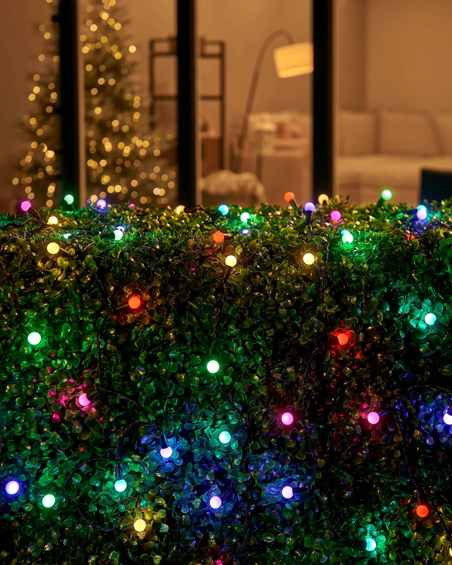LINK UP LED Berry Lights, Black Cable, Pastel Multi Colour
