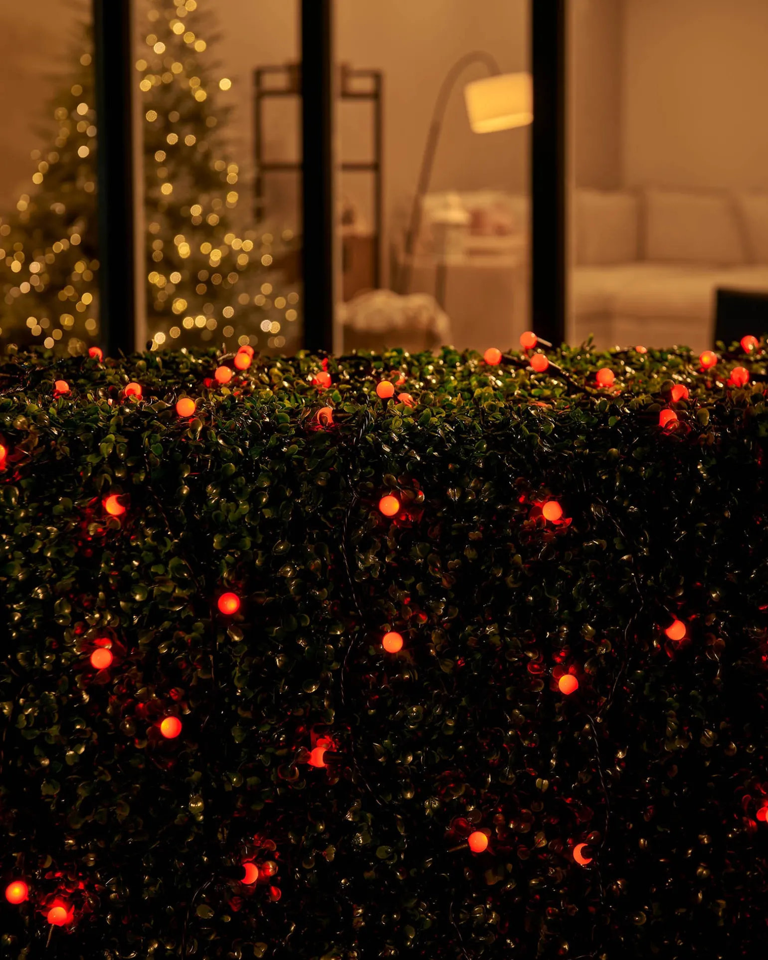 LINK UP LED Berry Lights, Black Cable, Red