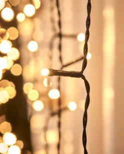 LINK UP LED Curtain Lights, Black Cable, 1 M X 1.2 M, Warm White