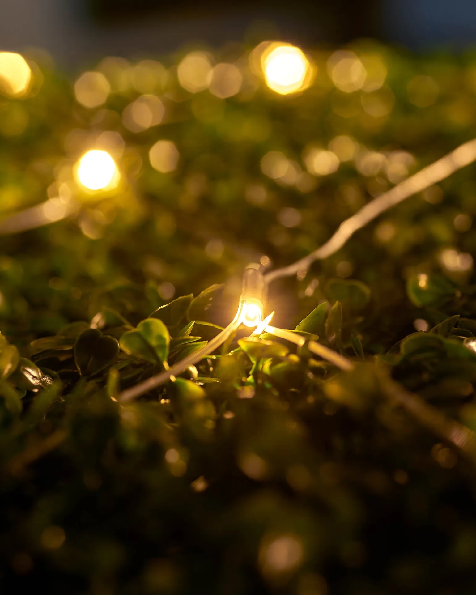 LINK UP LED Net Lights, 3 M X 3 M, Warm White