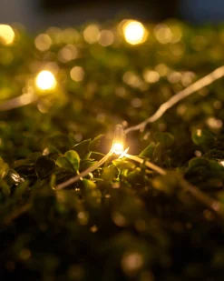 LINK UP LED Net Lights, 3 M X 3 M, Warm White