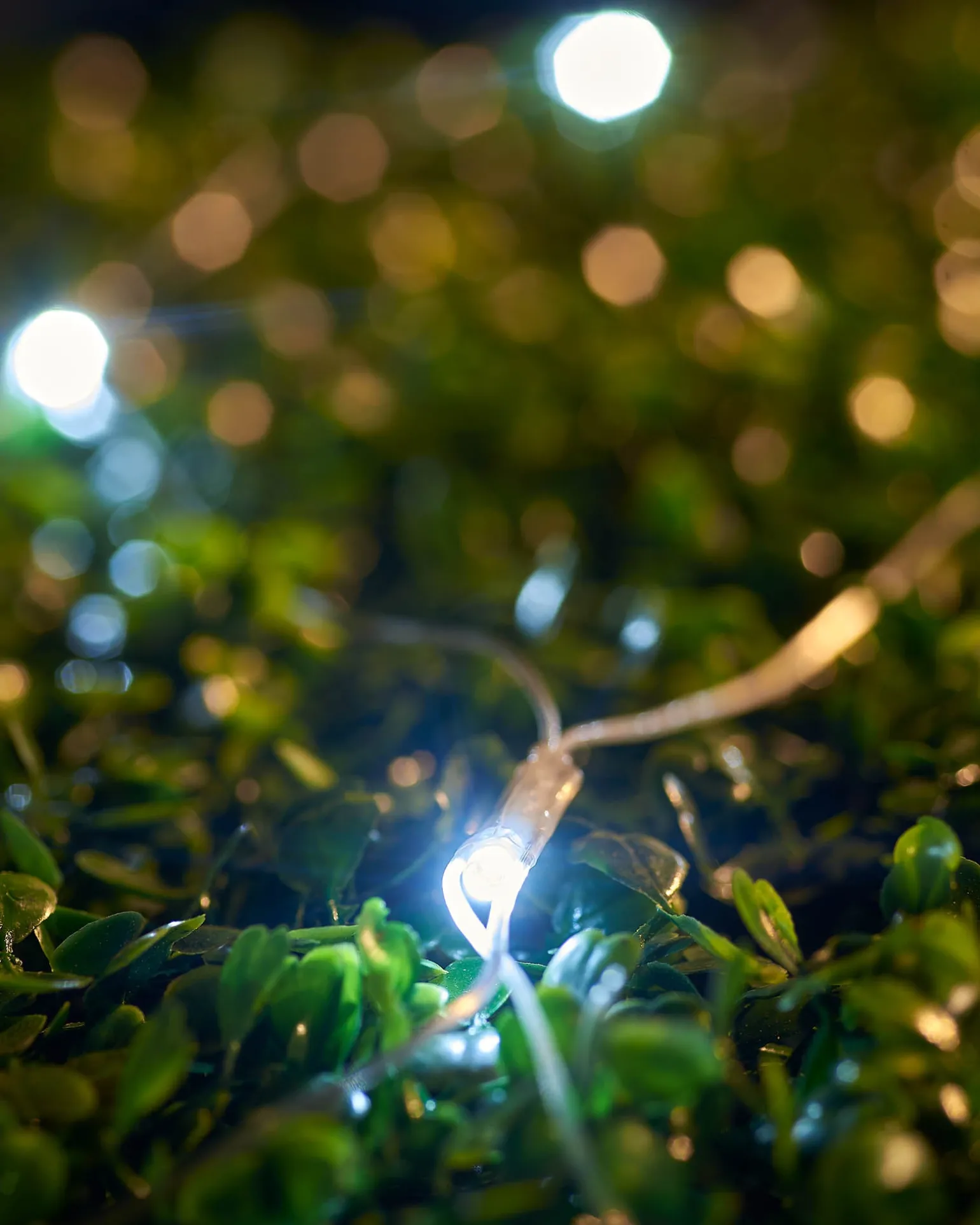 LINK UP LED Net Lights, 3 M X 3 M, White