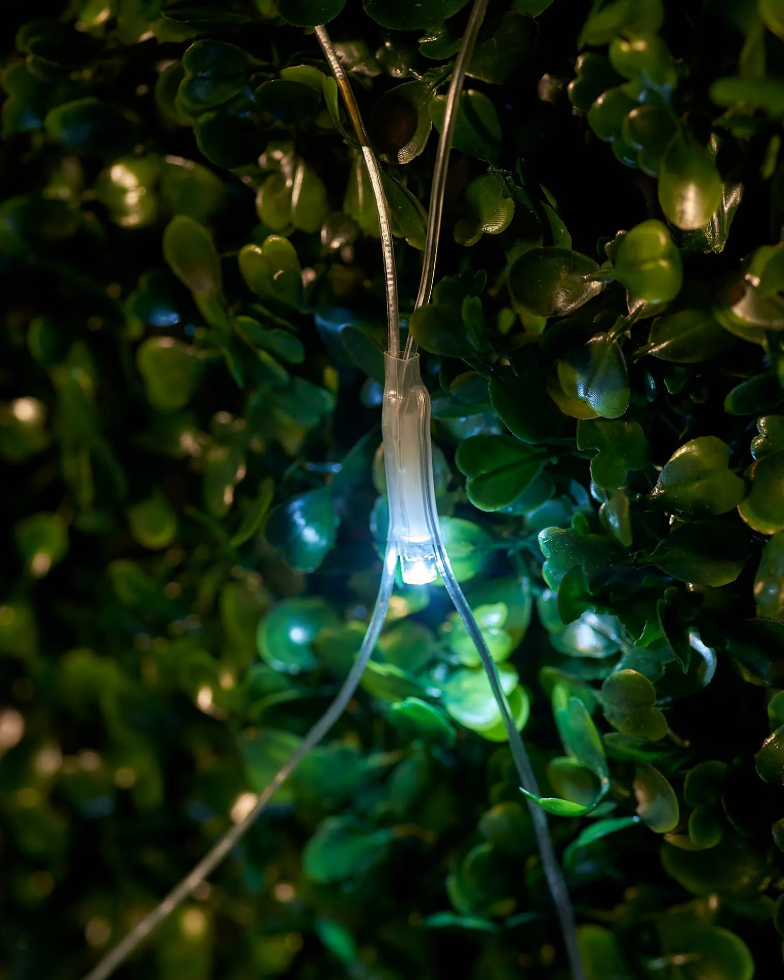 LINK UP LED Net Lights, 3 M X 3 M, White