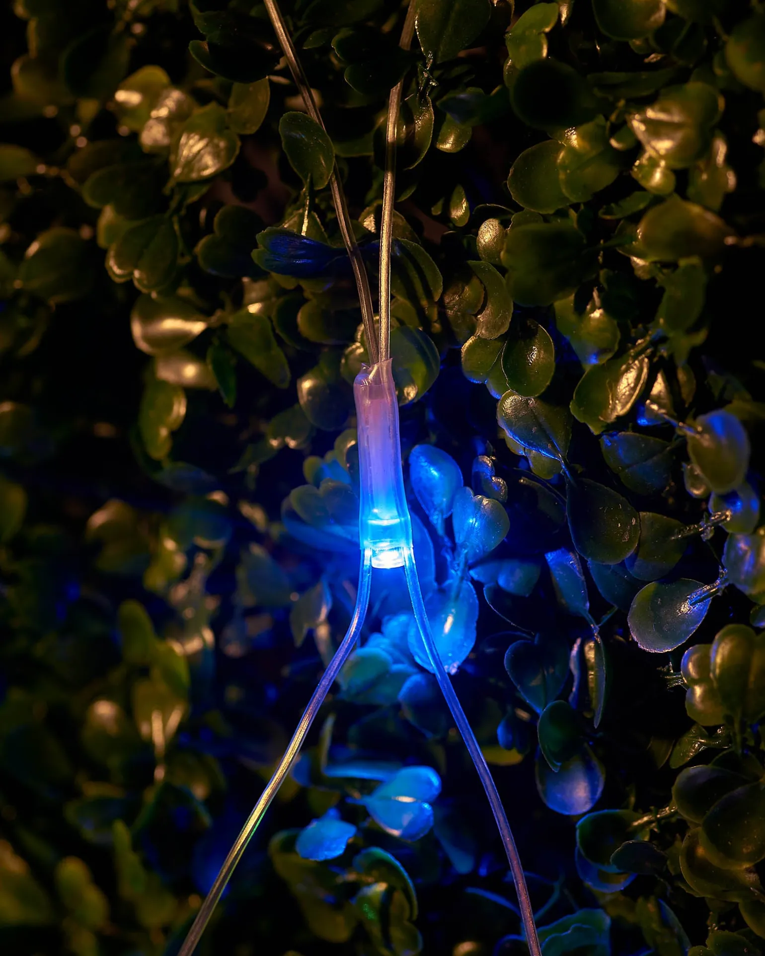 LINK UP LED Net Lights, 3 M X 3 M, Multi Colour