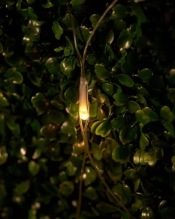 LINK UP LED Net Lights, 2 M X 2 M, Warm White