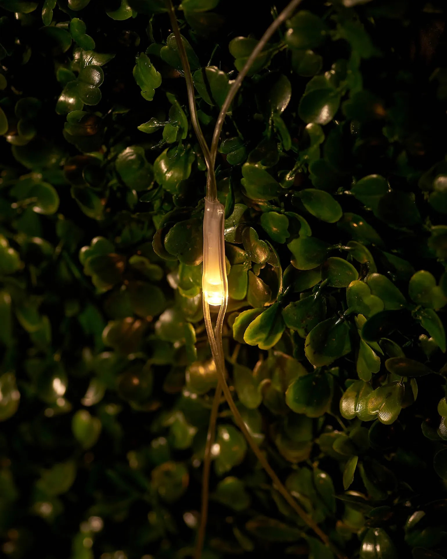 LINK UP LED Net Lights, 2 M X 2 M, Warm White