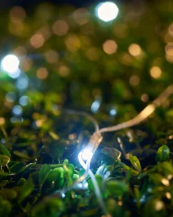 LINK UP LED Net Lights, 2 M X 2 M, White