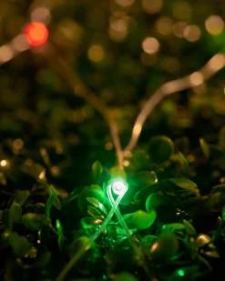 LINK UP LED Net Lights, 2 M X 2 M, Multi Colour