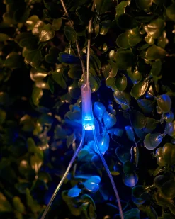 LINK UP LED Net Lights, 2 M X 2 M, Multi Colour