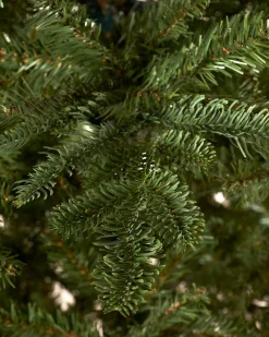 Nordmann Fir Christmas Tree, 6 Ft