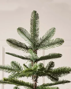 Nordmann Fir Christmas Tree, 6 Ft