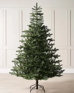 Nordmann Fir Christmas Tree, 9 Ft