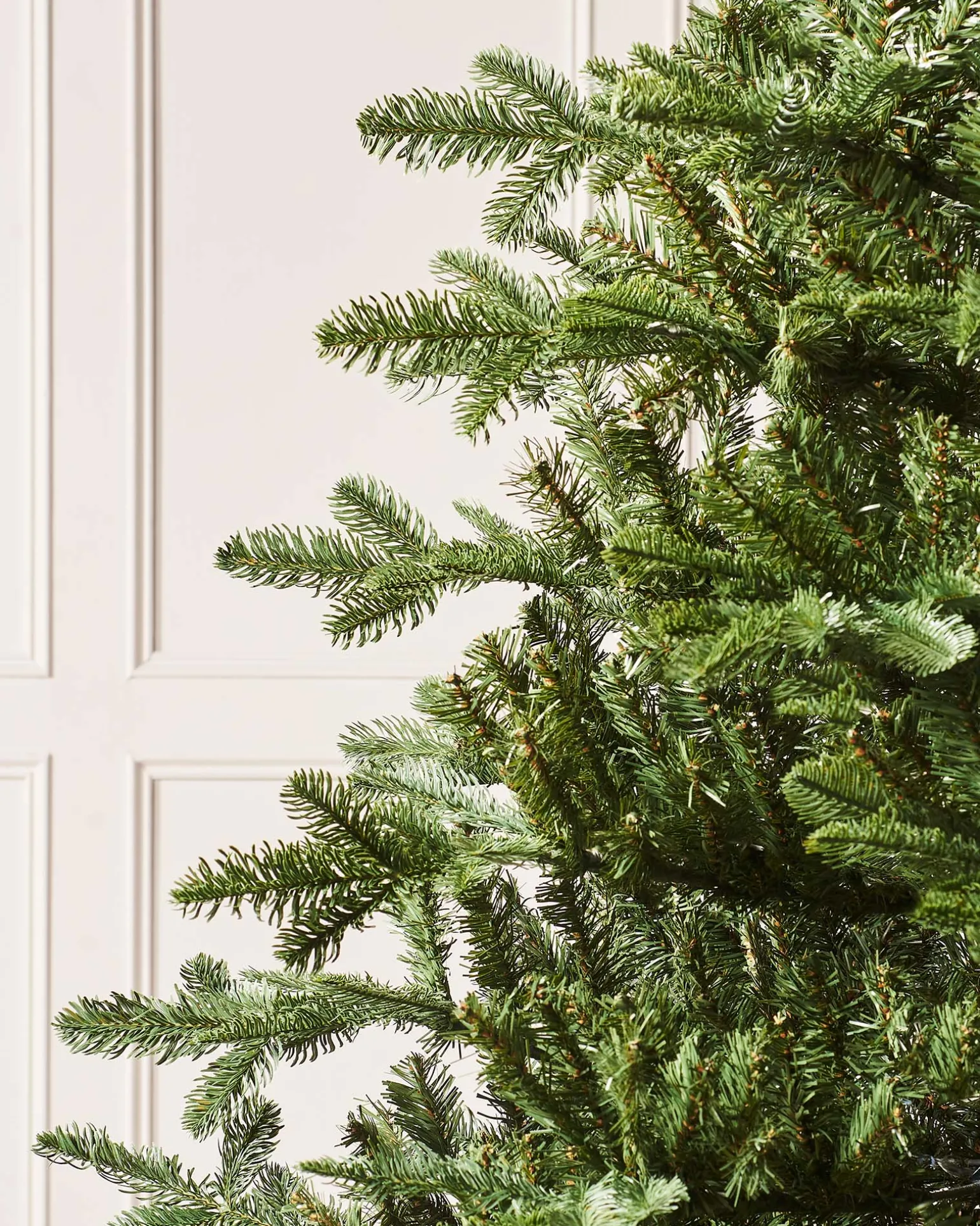 Nordmann Fir Christmas Tree, 9 Ft