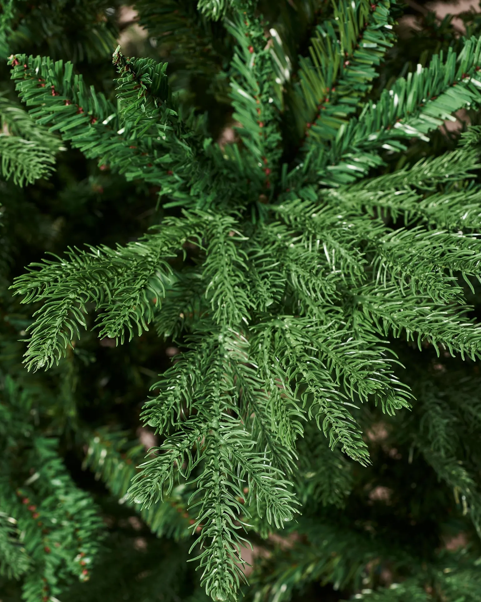 Northern Fir Christmas Tree, 6 Ft
