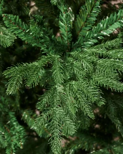 Northern Fir Christmas Tree, 7 Ft