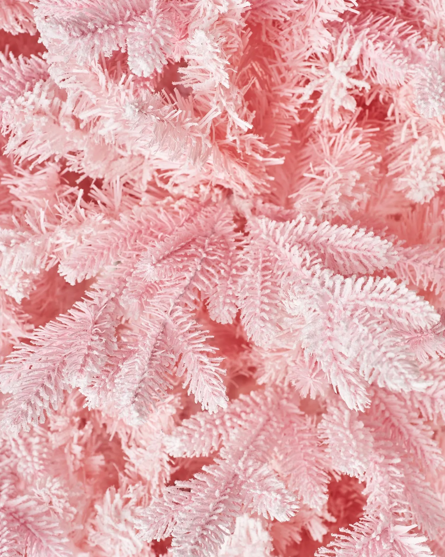 Pink Sugar Snow Flocked Christmas Tree, 7 Ft