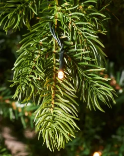 Pre-Lit Balsam Fir Christmas Tree, 6 Ft