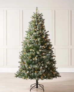 Pre-lit Blue Brockton Spruce Christmas Tree, 5 Ft