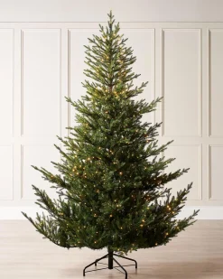 Pre-Lit Douglas Fir Christmas Tree, 9 Ft