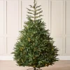 Pre-Lit Grand Nordmann Fir Christmas Tree, 8 Ft