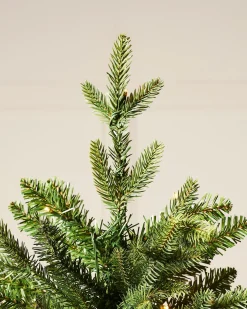 Pre-Lit Himalayan Fir Christmas Tree, 6 Ft