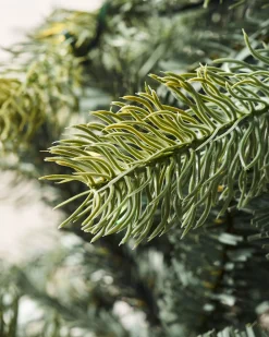 Pre-Lit Mixed Pine Dual Christmas Tree, 6 Ft