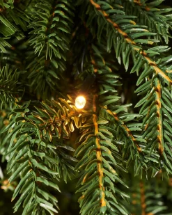 Pre-Lit Norway Spruce Potted Christmas Tree, 3 Ft