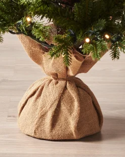 Pre-Lit Norway Spruce Potted Christmas Tree, 3 Ft