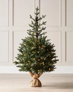 Pre-Lit Norway Spruce Potted Christmas Tree, 4 Ft