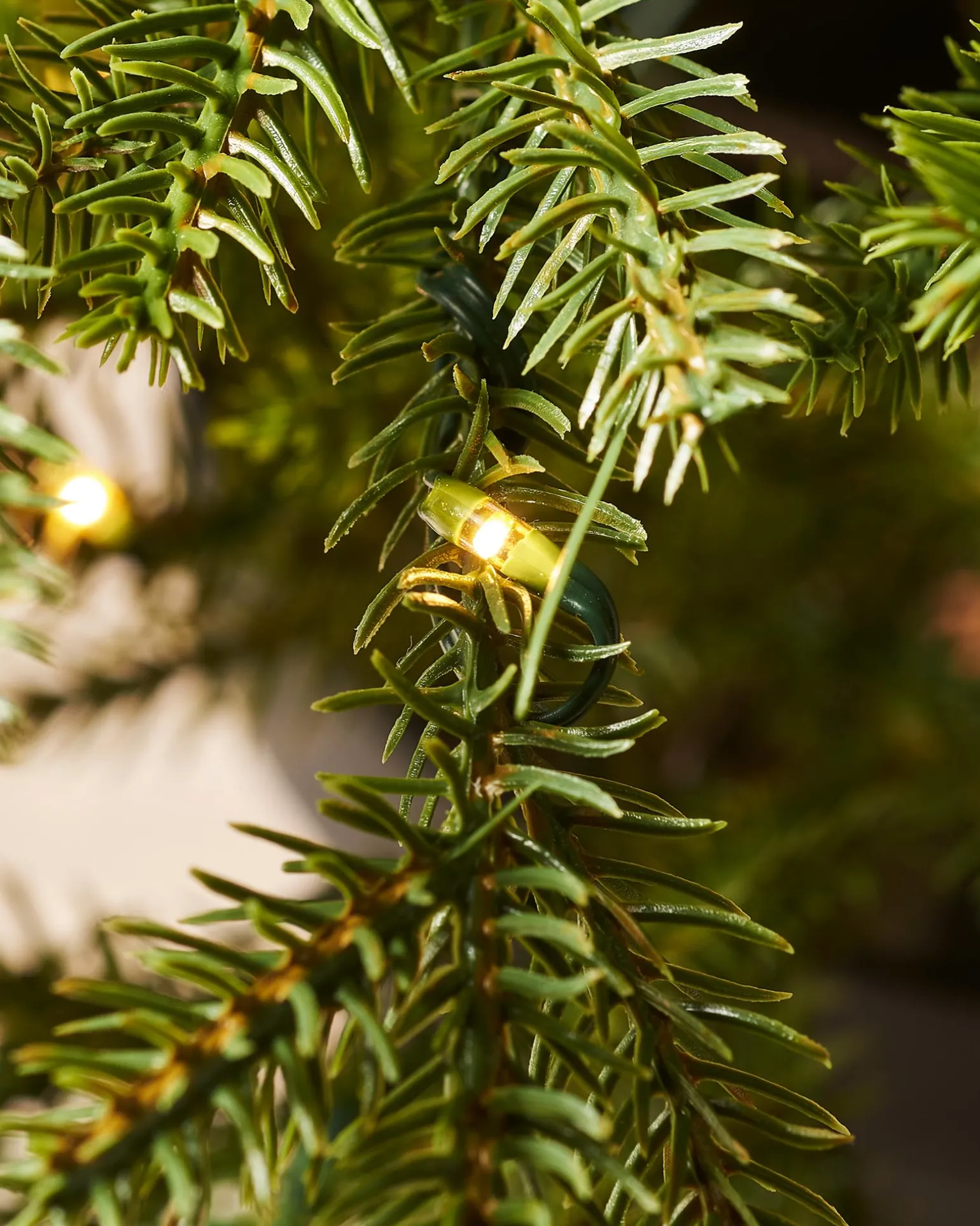 Pre-Lit Potted Douglas Fir Christmas Tree, 3 Ft