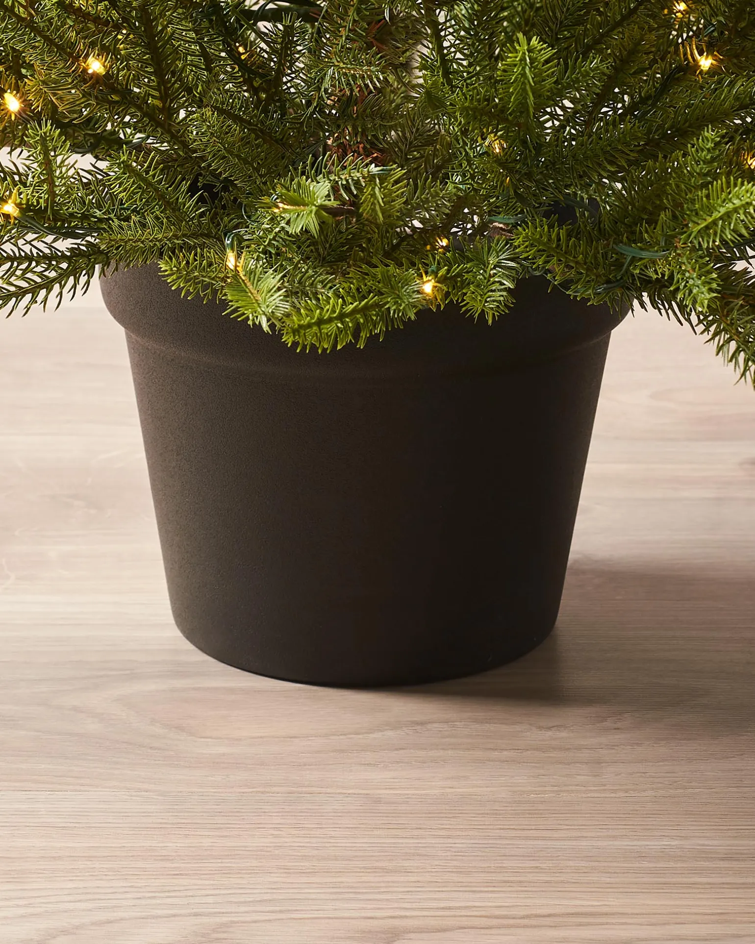 Pre-Lit Potted Douglas Fir Christmas Tree, 3 Ft
