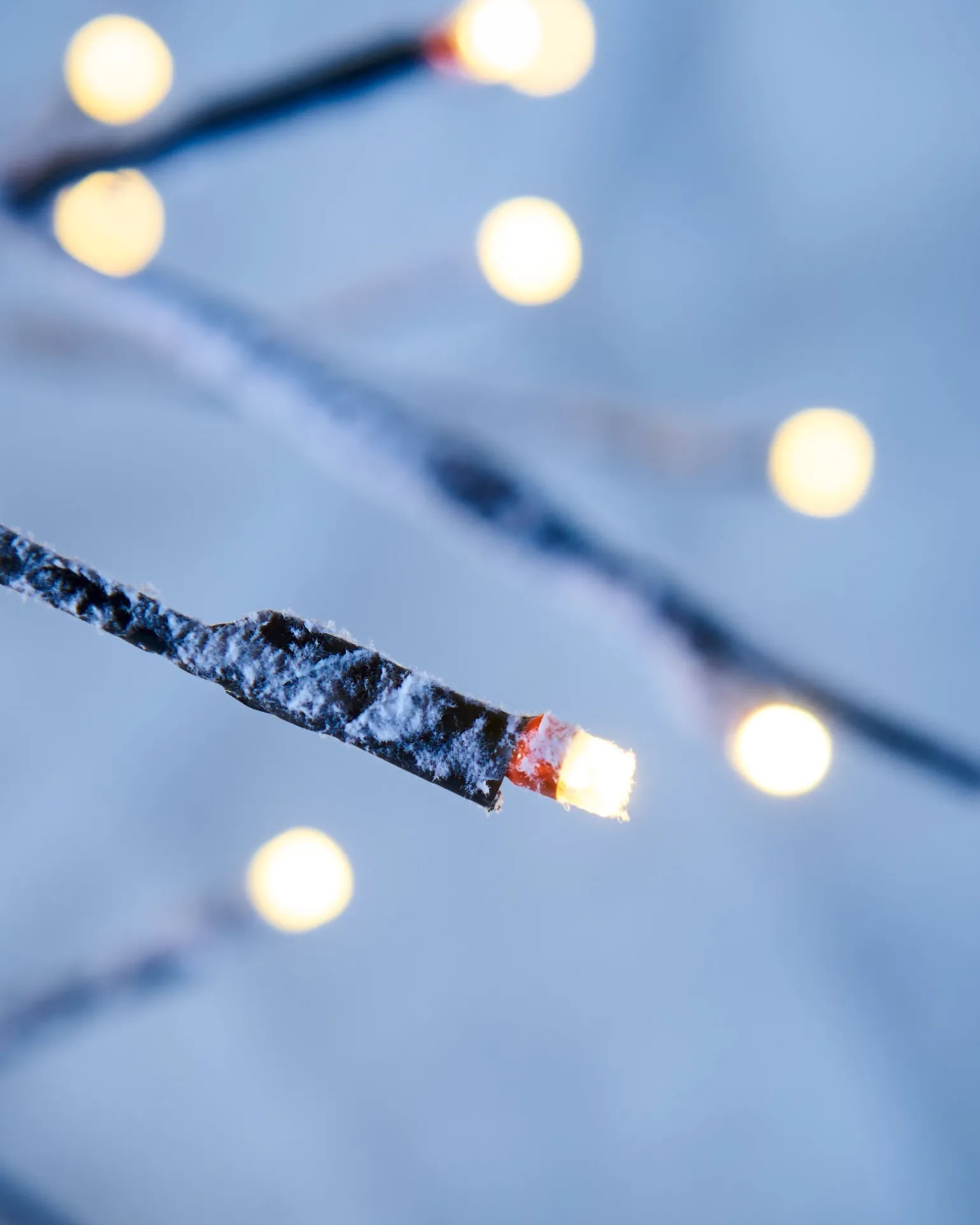 Pre-Lit Snow Flocked Twig Tree, 5 Ft