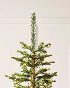 Pre-Lit Sugar Pine Christmas Tree, 6 Ft