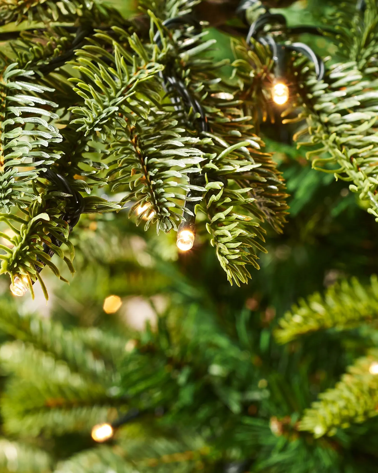 Pre-Lit Sugar Pine Christmas Tree, 8 Ft