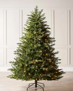 Pre-Lit Windsor Fir Christmas Tree, 8 Ft