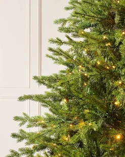 Pre-Lit Windsor Fir Christmas Tree, Dual Multi Colour, 5 Ft