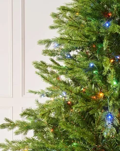 Pre-Lit Windsor Fir Christmas Tree, Dual Multi Colour, 6 Ft