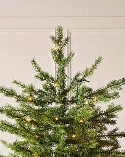 Pre-Lit Windsor Fir Christmas Tree, Dual Multi Colour, 8 Ft