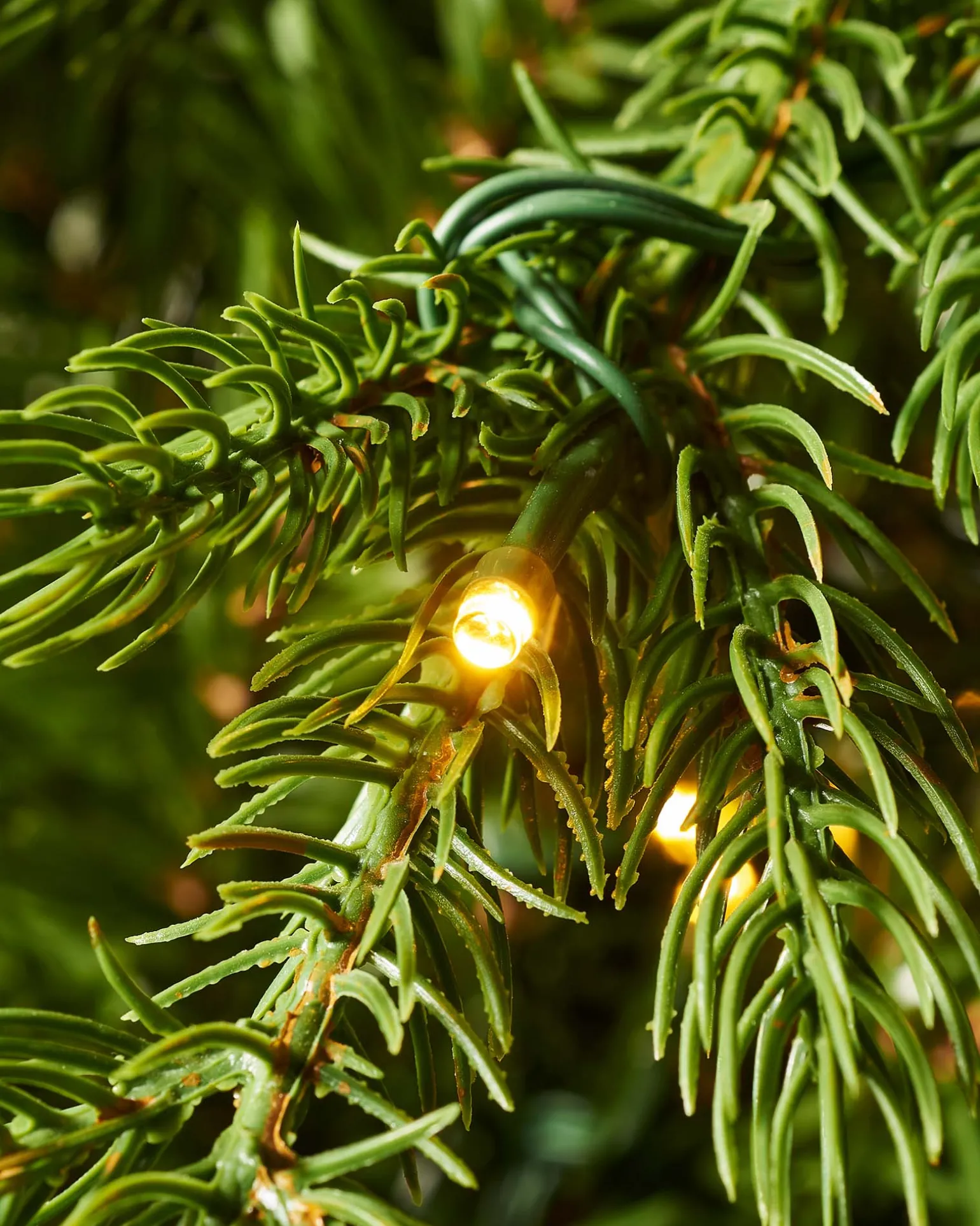 Pre-Lit Windsor Fir Christmas Tree, Dual Warm White, 8 Ft